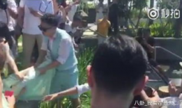 婚礼闹伴娘的视频,欢乐与温馨交织的甜蜜回忆